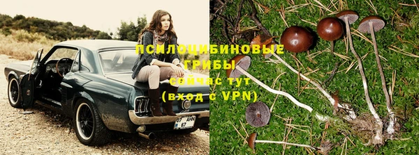 кокаин колумбия Кинешма