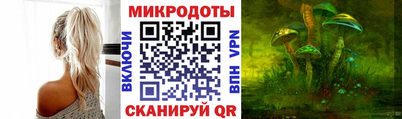 Купить где  Ессентукская  Галлюциногенные грибы Psilocybe 