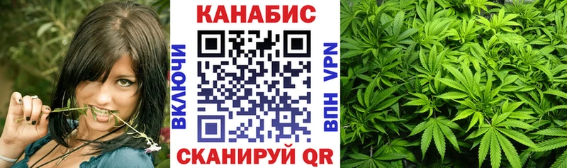 Купить закладки Ессентукская Канабис семена